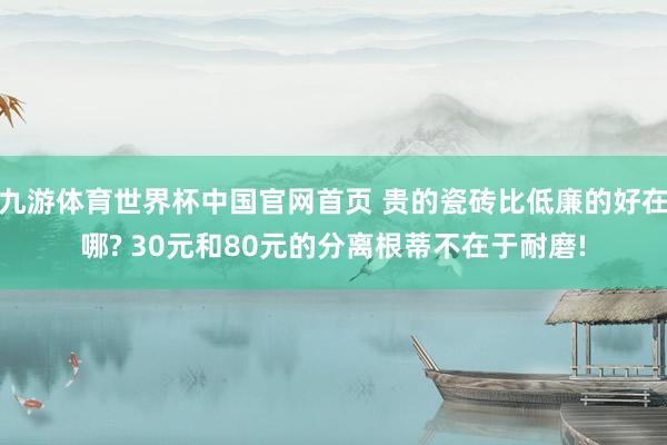 九游体育世界杯中国官网首页 贵的瓷砖比低廉的好在哪? 30元和80元的分离根蒂不在于耐磨!