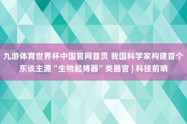 九游体育世界杯中国官网首页 我国科学家构建首个东谈主源“生物起搏器”类器官 | 科技前哨