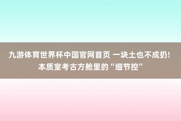 九游体育世界杯中国官网首页 一块土也不成扔! 本质室考古方舱里的“细节控”
