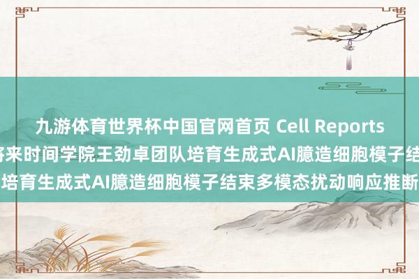 九游体育世界杯中国官网首页 Cell Reports Methods | 北京大学将来时间学院王劲卓团队培育生成式AI臆造细胞模子结束多模态扰动响应推断