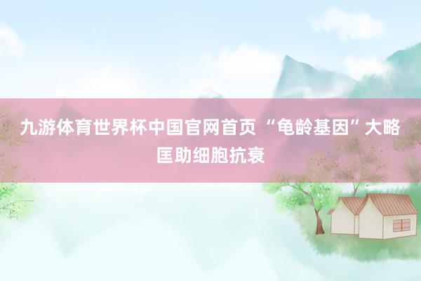 九游体育世界杯中国官网首页 “龟龄基因”大略匡助细胞抗衰