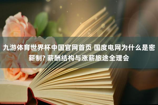 九游体育世界杯中国官网首页 国度电网为什么是密薪制? 薪酬结构与涨薪旅途全理会
