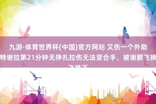 九游·体育世界杯(中国)官方网站 又伤一个外助！特谢拉第21分钟无挣扎拉伤无法坚合手，被谢鹏飞换下