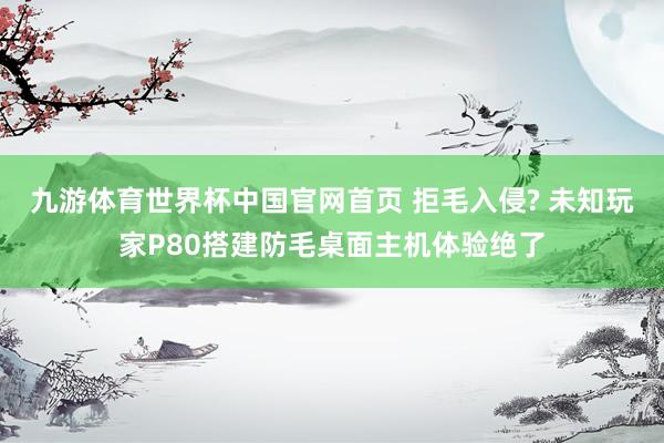 九游体育世界杯中国官网首页 拒毛入侵? 未知玩家P80搭建防毛桌面主机体验绝了