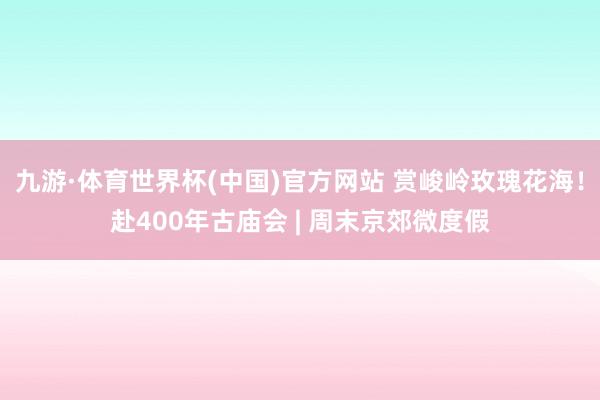 九游·体育世界杯(中国)官方网站 赏峻岭玫瑰花海!赴400年古庙会 | 周末京郊微度假