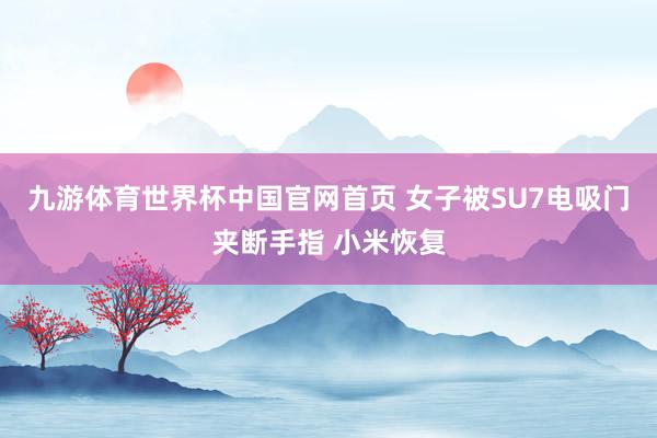 九游体育世界杯中国官网首页 女子被SU7电吸门夹断手指 小米恢复