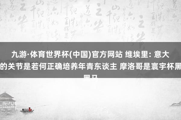 九游·体育世界杯(中国)官方网站 维埃里: 意大利的关节是若何正确培养年青东谈主 摩洛哥是寰宇杯黑马