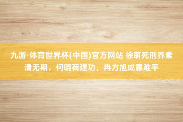 九游·体育世界杯(中国)官方网站 徐萌死刑乔素清无期，何晓荷建功，冉方旭成意难平