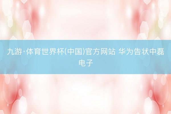 九游·体育世界杯(中国)官方网站 华为告状中磊电子