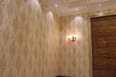 集成墙面价格不菲，为何仍受热捧？揭秘背后的市场逻辑